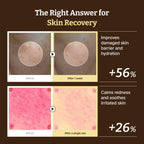 Dr. Reju-All - Advanced PDRN Rejuvenating Cream 20ml
