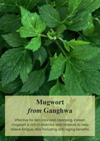 IM From - Mugwort Mask 30g