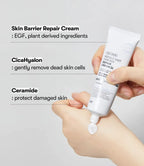 VT COSMETICS – Reedle Shot Synergy Repair Cream 50 – 50 ml